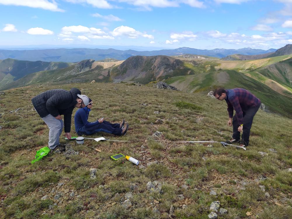 Imagen Una investigación de la Universidad de Oviedo revela que escenarios climáticos más cálidos harán que las especies alpinas germinen casi dos meses antes