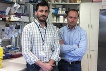Imagen Investigadores asturianos hallan un nuevo biomarcador para la detección...
