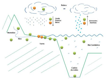 modelo dispersión microorganismos siguiendo ciclo hidrológico